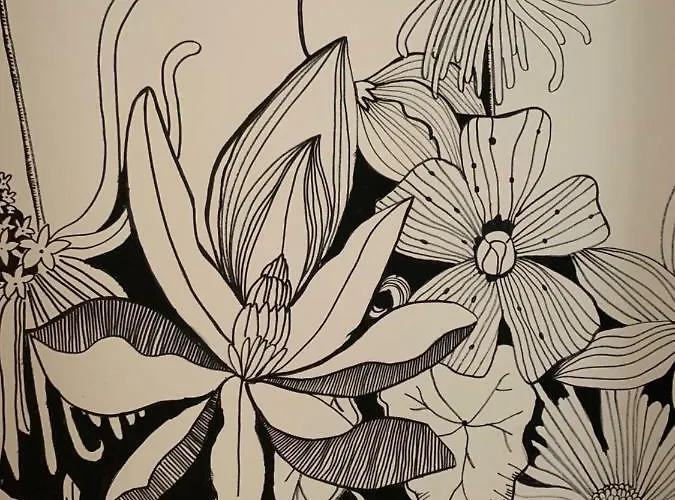 Say Yes בודפשט