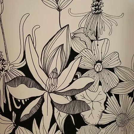 Say Yes בודפשט